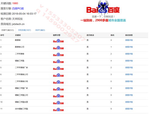 独家给你解密网站排名新技巧
