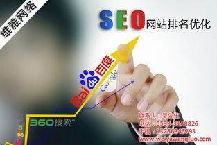 临淄优化 优化技术 维雅网络 认证商家 高清图片 高清大图