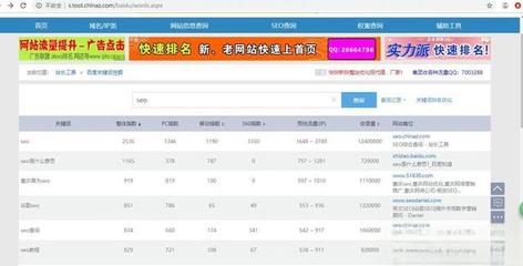 SEO站长综合查询工具 提升网站排名的利器