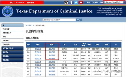 10个免费小众的网红 跨境电商运营工具